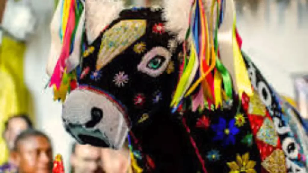 Manifestações culturais brasileiras 5